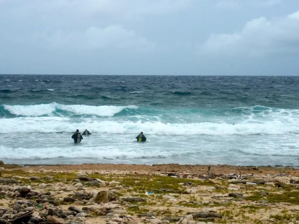 Avontuurlijke instap