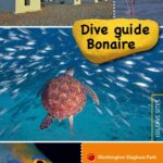 Vorige productafbeelding