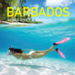 Vorige productafbeelding